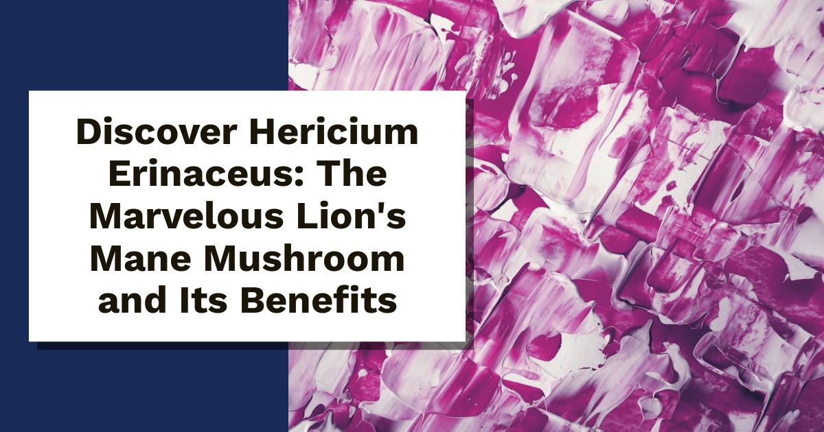 Discover Hericium Erinaceus: The Marvelous Lion's Mane Mushroom and Its Benefits