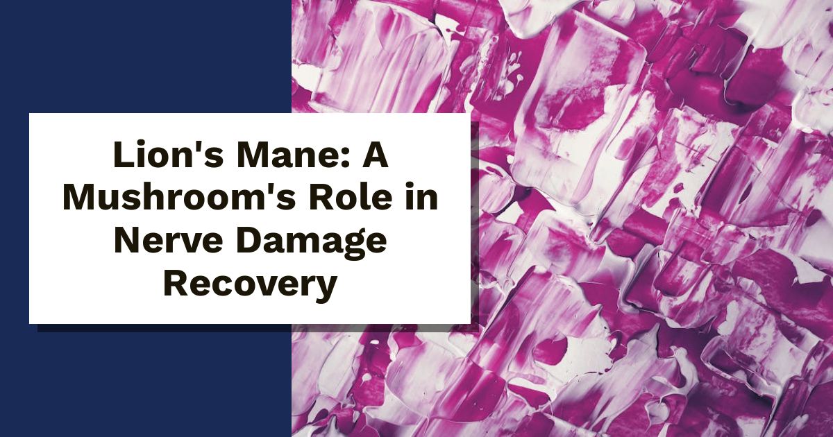 Lion's Mane: A Mushroom's Role in Nerve Damage Recovery